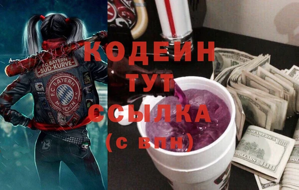 Альфа ПВП Няндома