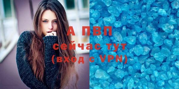 Альфа ПВП Няндома