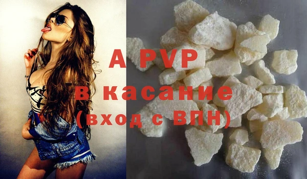 дурь Кропоткин