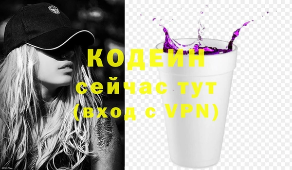 Альфа ПВП Няндома