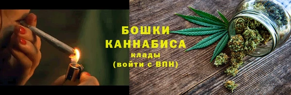Альфа ПВП Няндома