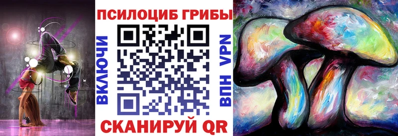 даркнет сайт  Салехард  Псилоцибиновые грибы Psilocybe 